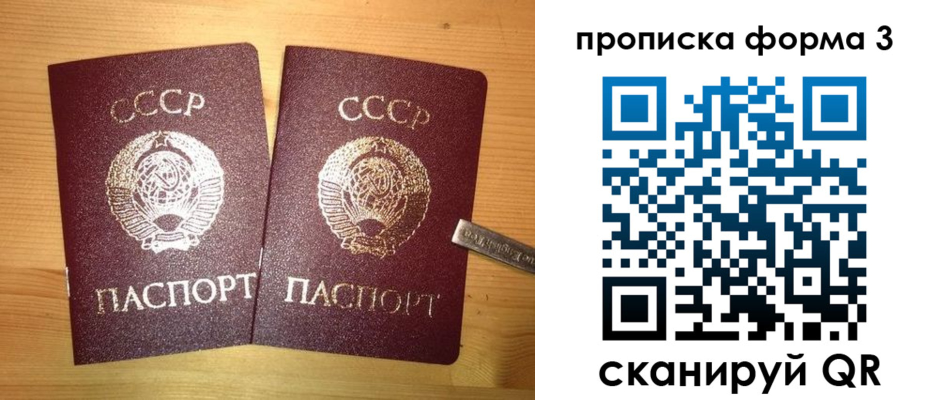 прописка иностранных граждан в Оленегорске